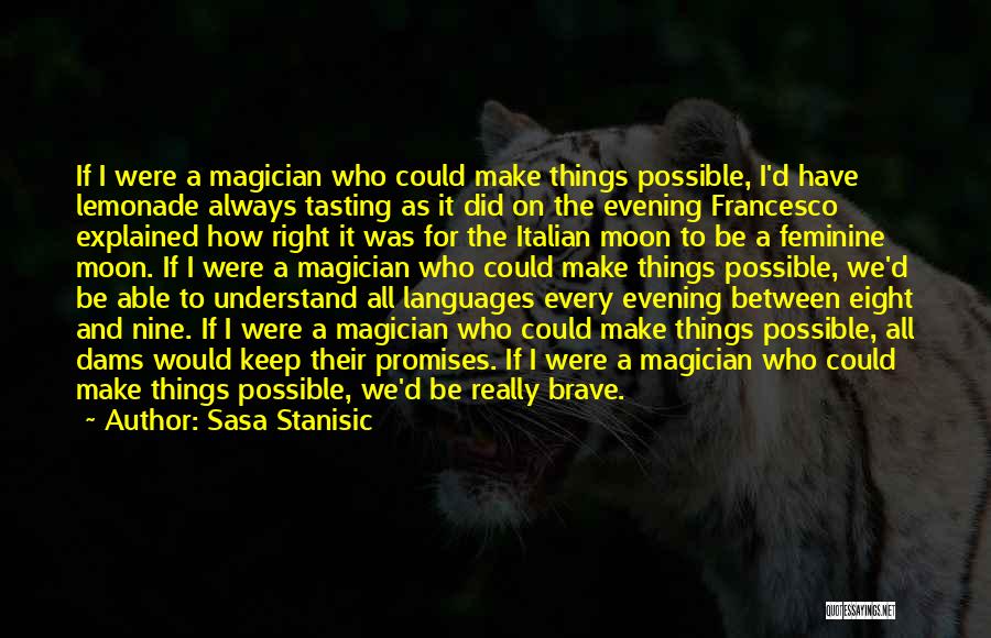 Sasa Stanisic Quotes: If I Were A Magician Who Could Make Things Possible, I'd Have Lemonade Always Tasting As It Did On The