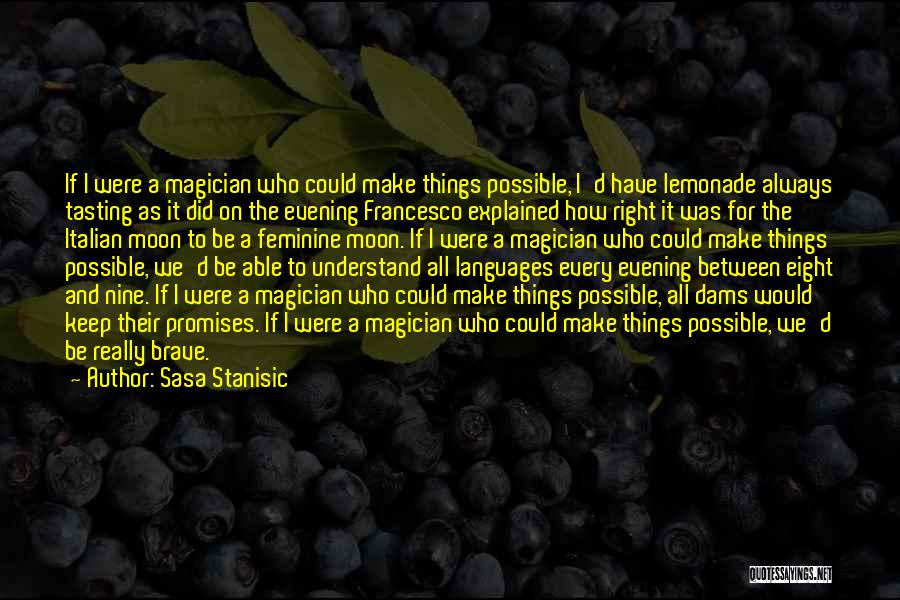 Sasa Stanisic Quotes: If I Were A Magician Who Could Make Things Possible, I'd Have Lemonade Always Tasting As It Did On The