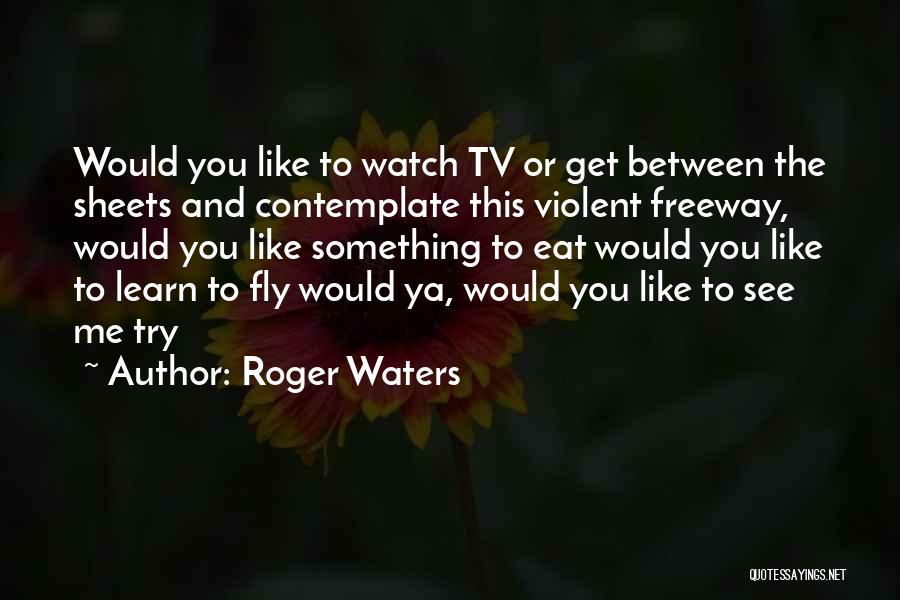 Roger Waters Quotes: Would You Like To Watch Tv Or Get Between The Sheets And Contemplate This Violent Freeway, Would You Like Something