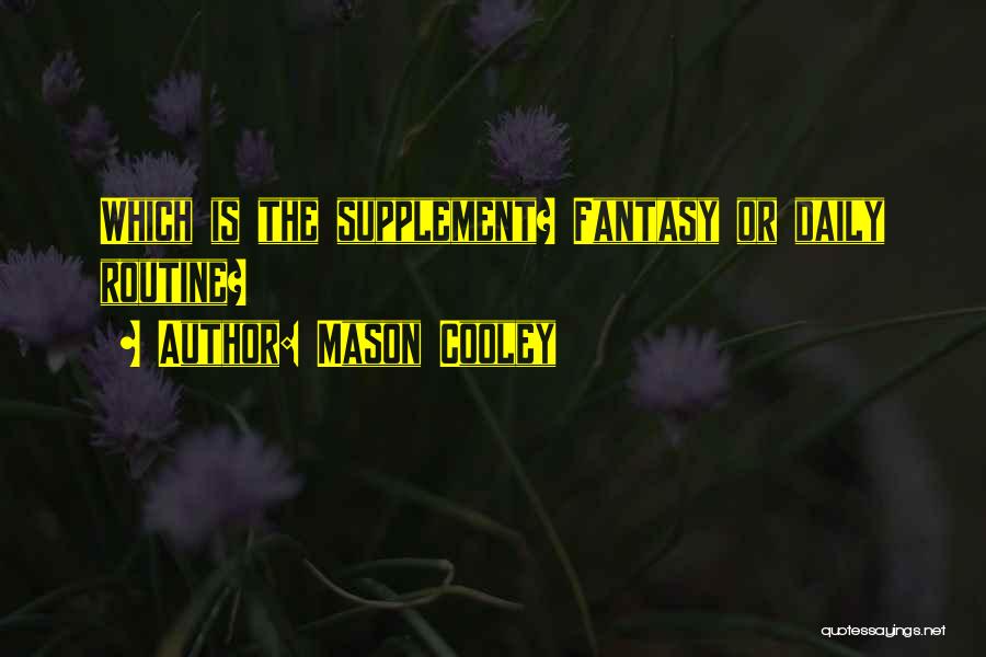 Mason Cooley Quotes: Which Is The Supplement? Fantasy Or Daily Routine?