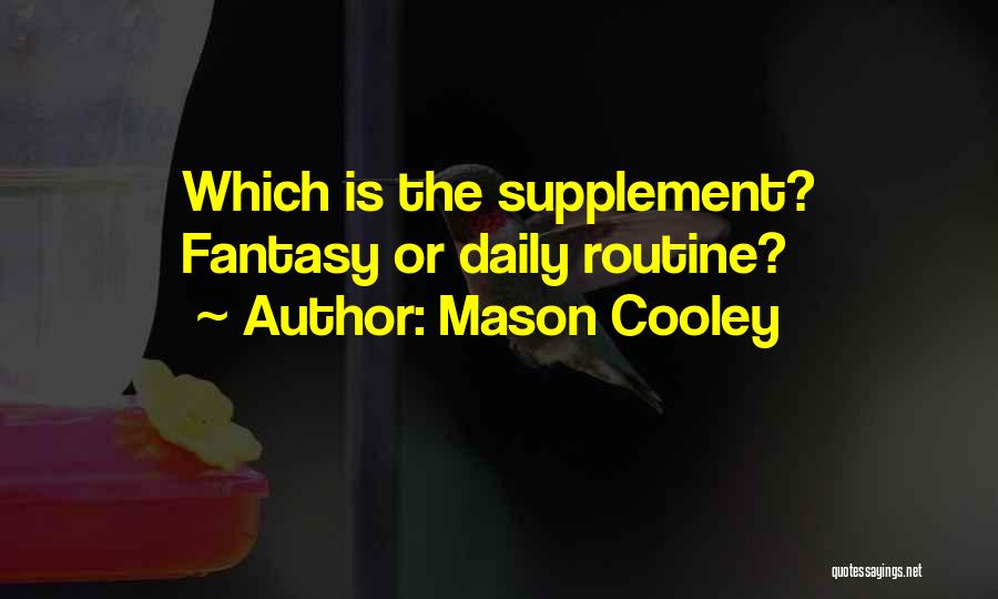 Mason Cooley Quotes: Which Is The Supplement? Fantasy Or Daily Routine?