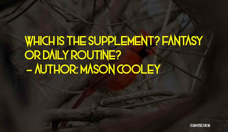 Mason Cooley Quotes: Which Is The Supplement? Fantasy Or Daily Routine?