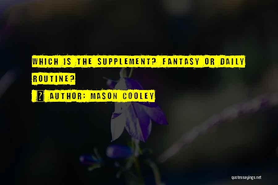 Mason Cooley Quotes: Which Is The Supplement? Fantasy Or Daily Routine?