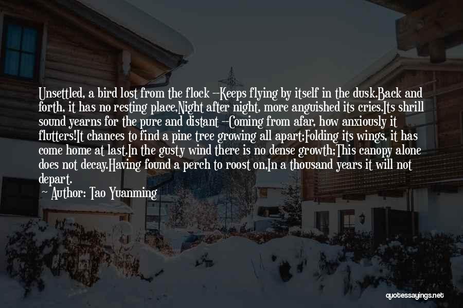 Tao Yuanming Quotes: Unsettled, A Bird Lost From The Flock --keeps Flying By Itself In The Dusk.back And Forth, It Has No Resting
