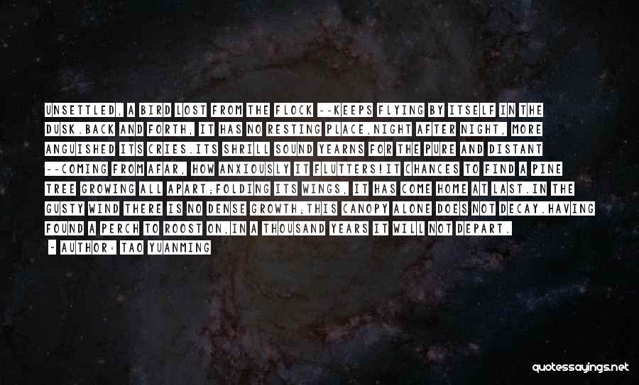 Tao Yuanming Quotes: Unsettled, A Bird Lost From The Flock --keeps Flying By Itself In The Dusk.back And Forth, It Has No Resting