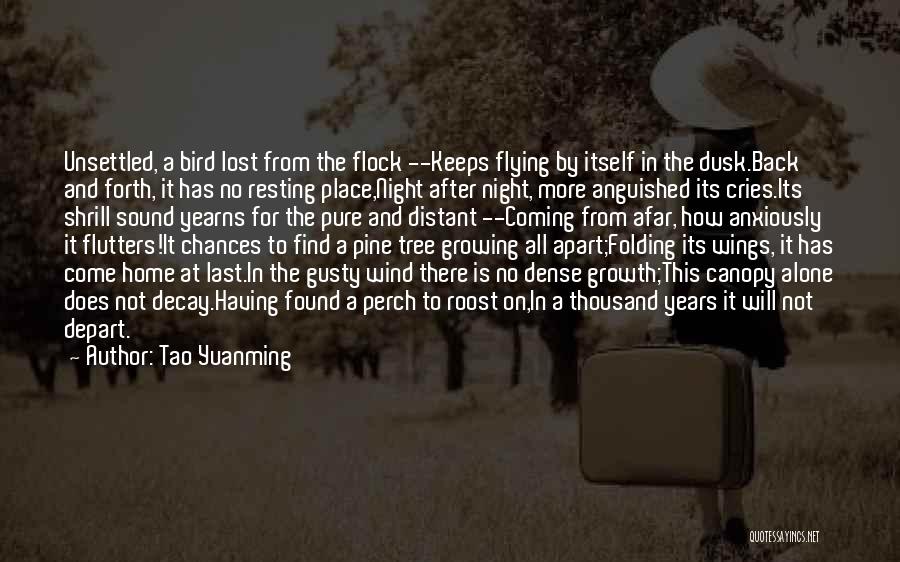 Tao Yuanming Quotes: Unsettled, A Bird Lost From The Flock --keeps Flying By Itself In The Dusk.back And Forth, It Has No Resting