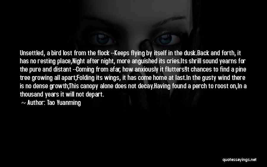 Tao Yuanming Quotes: Unsettled, A Bird Lost From The Flock --keeps Flying By Itself In The Dusk.back And Forth, It Has No Resting