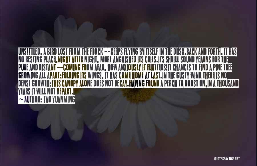 Tao Yuanming Quotes: Unsettled, A Bird Lost From The Flock --keeps Flying By Itself In The Dusk.back And Forth, It Has No Resting
