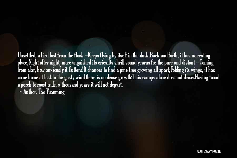 Tao Yuanming Quotes: Unsettled, A Bird Lost From The Flock --keeps Flying By Itself In The Dusk.back And Forth, It Has No Resting