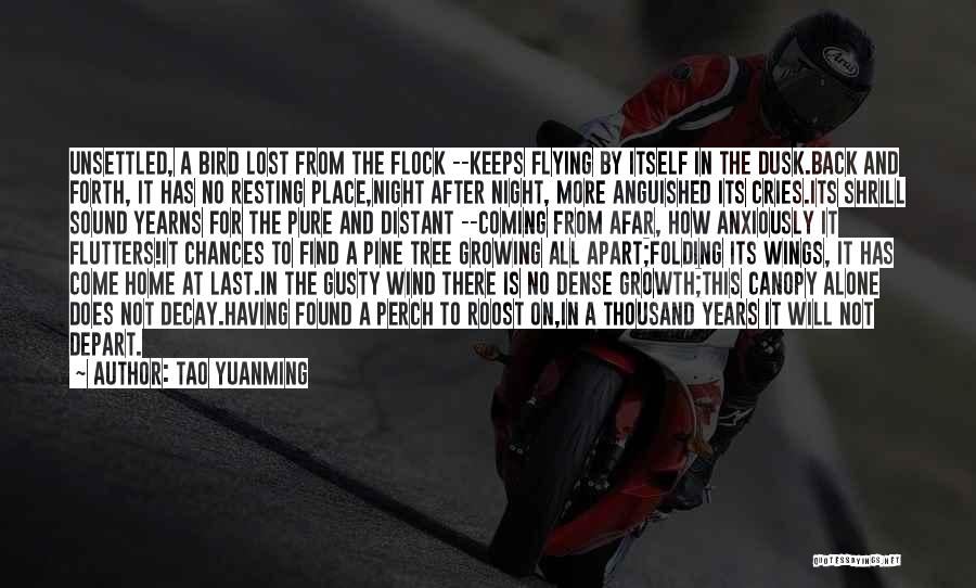 Tao Yuanming Quotes: Unsettled, A Bird Lost From The Flock --keeps Flying By Itself In The Dusk.back And Forth, It Has No Resting