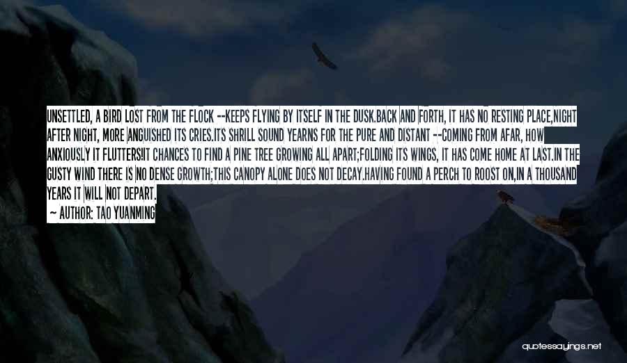 Tao Yuanming Quotes: Unsettled, A Bird Lost From The Flock --keeps Flying By Itself In The Dusk.back And Forth, It Has No Resting