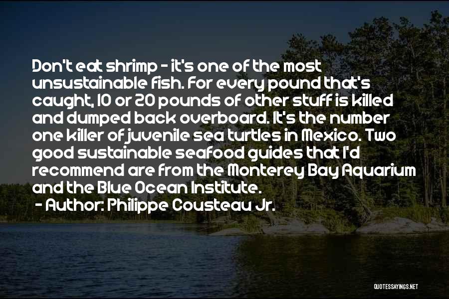 Philippe Cousteau Jr. Quotes: Don't Eat Shrimp - It's One Of The Most Unsustainable Fish. For Every Pound That's Caught, 10 Or 20 Pounds