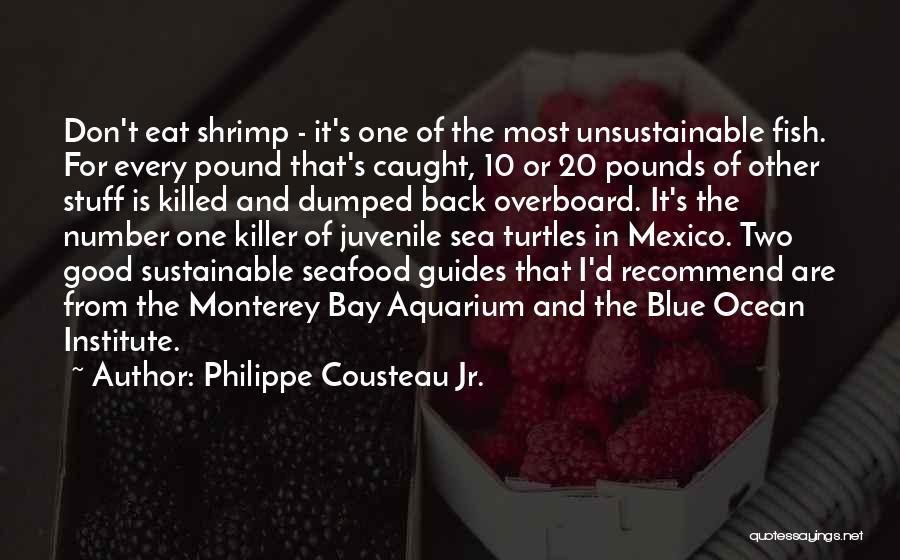 Philippe Cousteau Jr. Quotes: Don't Eat Shrimp - It's One Of The Most Unsustainable Fish. For Every Pound That's Caught, 10 Or 20 Pounds