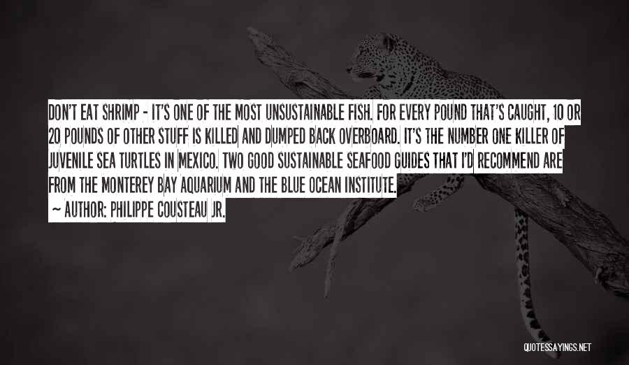 Philippe Cousteau Jr. Quotes: Don't Eat Shrimp - It's One Of The Most Unsustainable Fish. For Every Pound That's Caught, 10 Or 20 Pounds