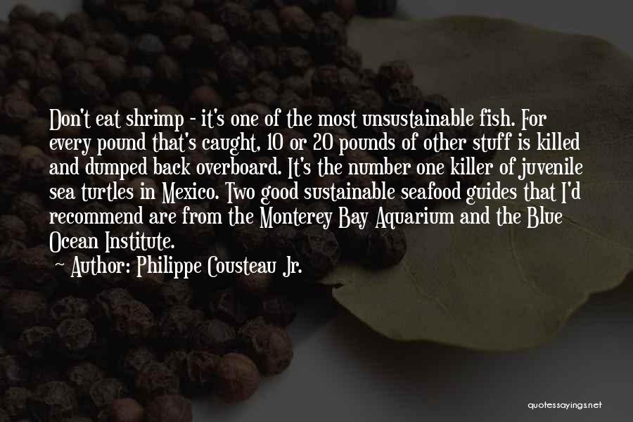 Philippe Cousteau Jr. Quotes: Don't Eat Shrimp - It's One Of The Most Unsustainable Fish. For Every Pound That's Caught, 10 Or 20 Pounds