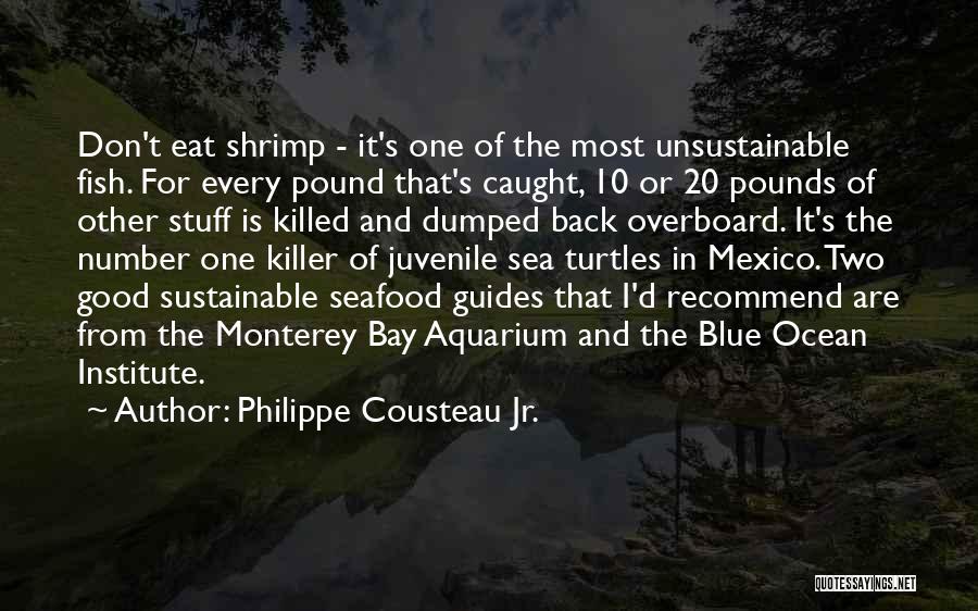 Philippe Cousteau Jr. Quotes: Don't Eat Shrimp - It's One Of The Most Unsustainable Fish. For Every Pound That's Caught, 10 Or 20 Pounds