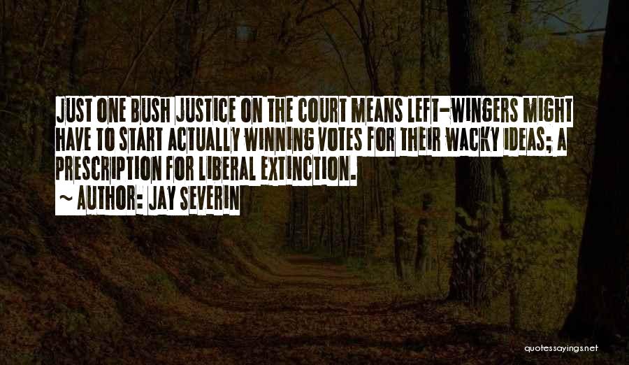 Jay Severin Quotes: Just One Bush Justice On The Court Means Left-wingers Might Have To Start Actually Winning Votes For Their Wacky Ideas;