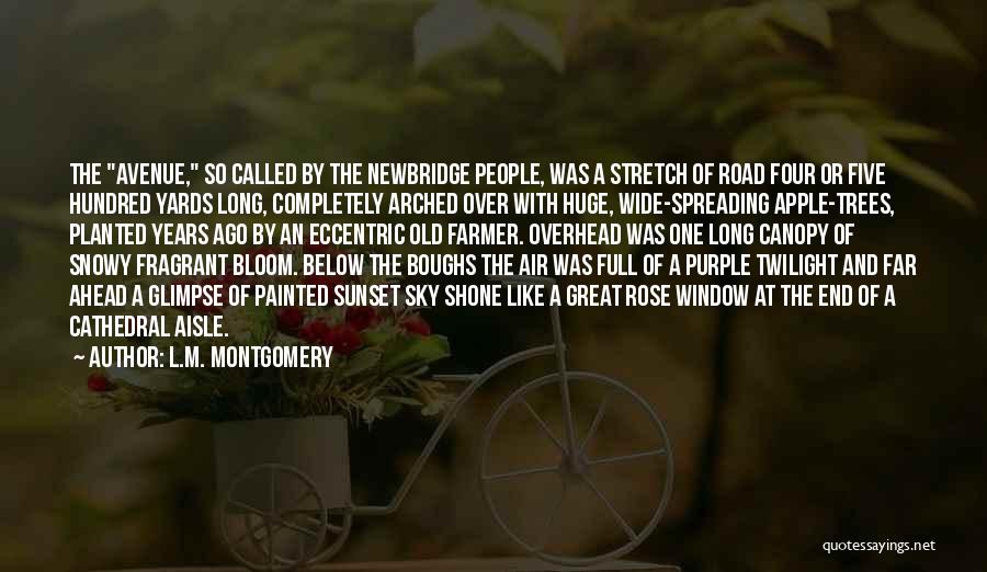 L.M. Montgomery Quotes: The Avenue, So Called By The Newbridge People, Was A Stretch Of Road Four Or Five Hundred Yards Long, Completely