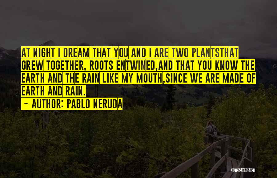 Pablo Neruda Quotes: At Night I Dream That You And I Are Two Plantsthat Grew Together, Roots Entwined,and That You Know The Earth