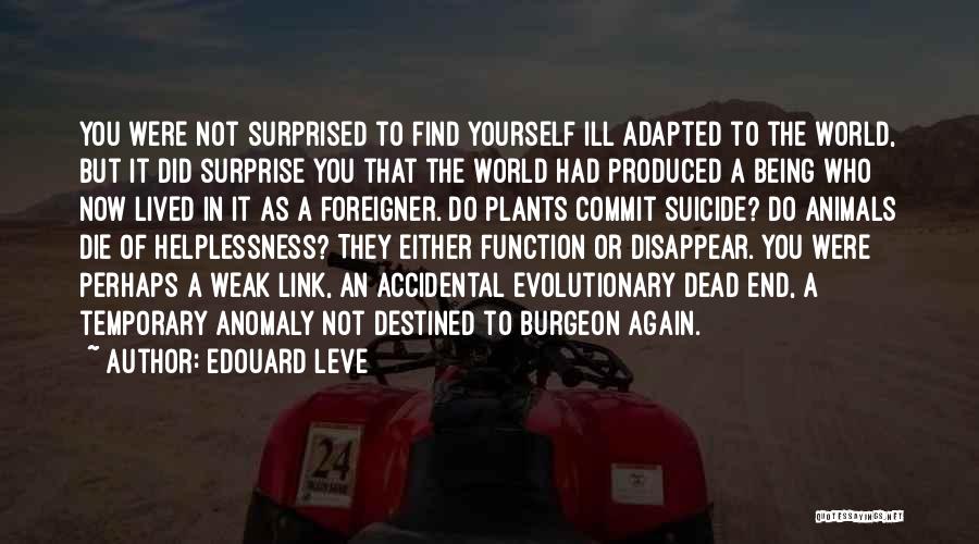 Edouard Leve Quotes: You Were Not Surprised To Find Yourself Ill Adapted To The World, But It Did Surprise You That The World