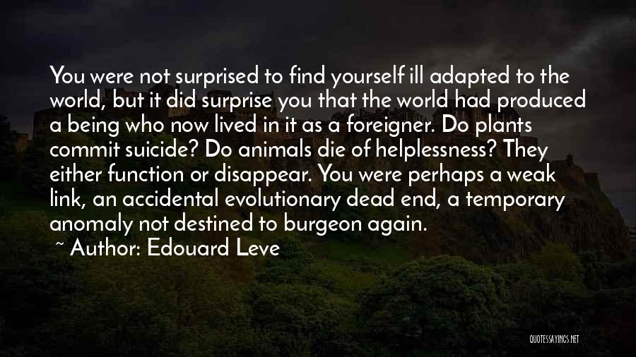 Edouard Leve Quotes: You Were Not Surprised To Find Yourself Ill Adapted To The World, But It Did Surprise You That The World