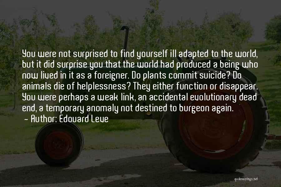 Edouard Leve Quotes: You Were Not Surprised To Find Yourself Ill Adapted To The World, But It Did Surprise You That The World