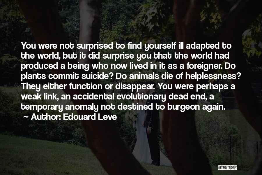 Edouard Leve Quotes: You Were Not Surprised To Find Yourself Ill Adapted To The World, But It Did Surprise You That The World