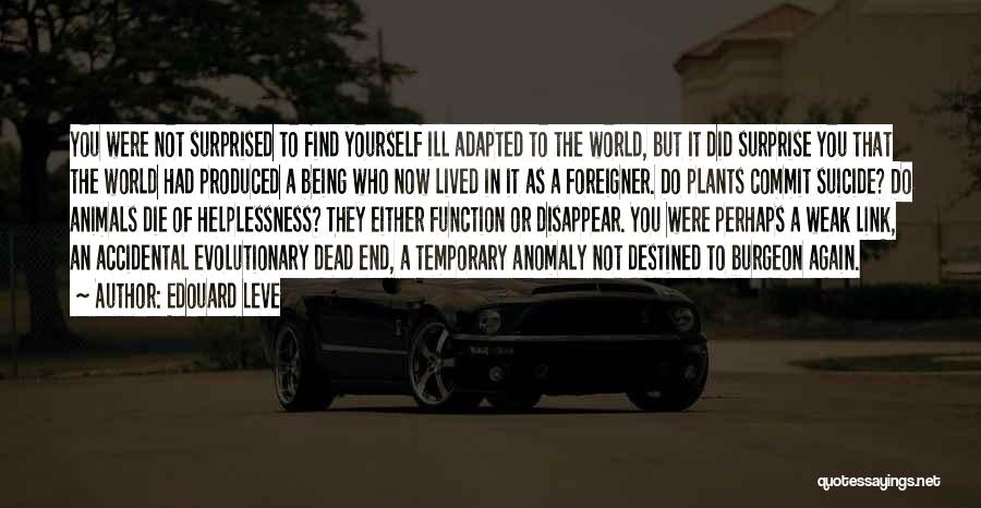 Edouard Leve Quotes: You Were Not Surprised To Find Yourself Ill Adapted To The World, But It Did Surprise You That The World