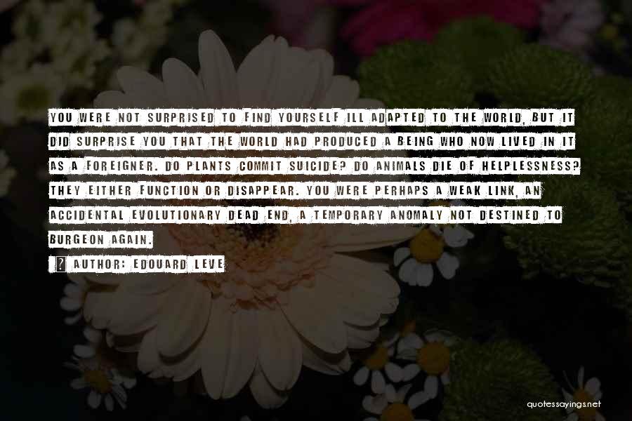 Edouard Leve Quotes: You Were Not Surprised To Find Yourself Ill Adapted To The World, But It Did Surprise You That The World