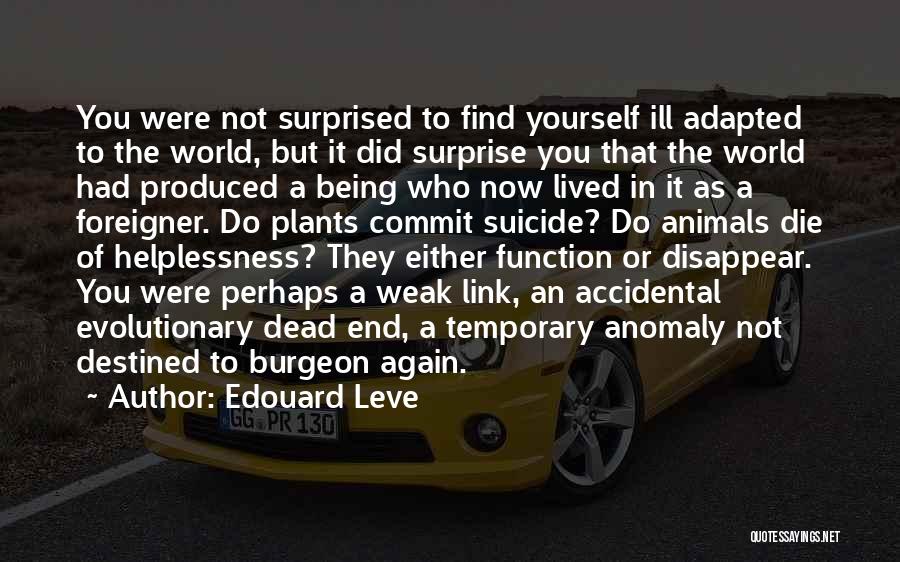 Edouard Leve Quotes: You Were Not Surprised To Find Yourself Ill Adapted To The World, But It Did Surprise You That The World