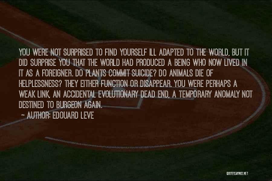 Edouard Leve Quotes: You Were Not Surprised To Find Yourself Ill Adapted To The World, But It Did Surprise You That The World