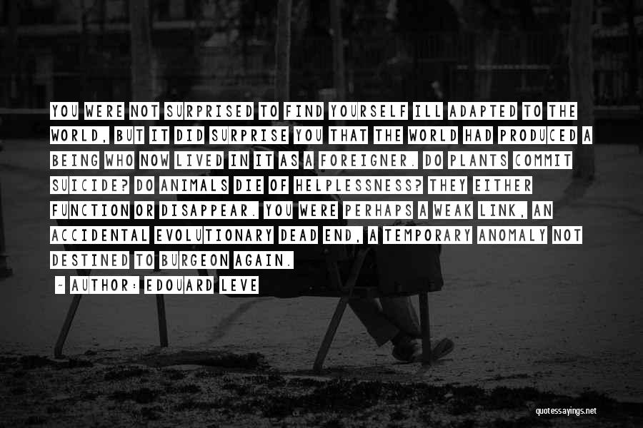 Edouard Leve Quotes: You Were Not Surprised To Find Yourself Ill Adapted To The World, But It Did Surprise You That The World