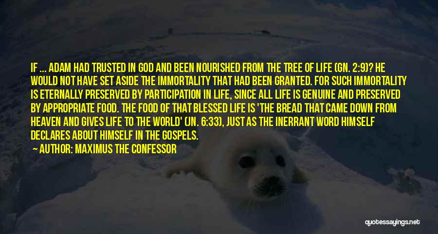 Maximus The Confessor Quotes: If ... Adam Had Trusted In God And Been Nourished From The Tree Of Life (gn. 2:9)? He Would Not