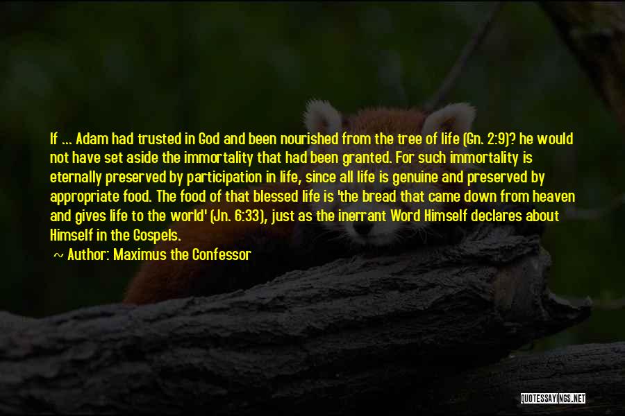 Maximus The Confessor Quotes: If ... Adam Had Trusted In God And Been Nourished From The Tree Of Life (gn. 2:9)? He Would Not