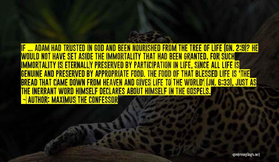 Maximus The Confessor Quotes: If ... Adam Had Trusted In God And Been Nourished From The Tree Of Life (gn. 2:9)? He Would Not