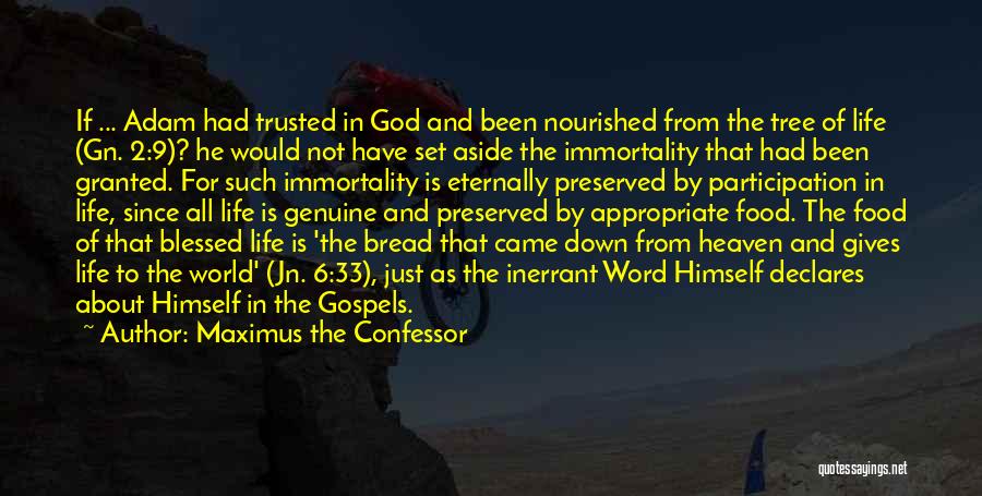 Maximus The Confessor Quotes: If ... Adam Had Trusted In God And Been Nourished From The Tree Of Life (gn. 2:9)? He Would Not