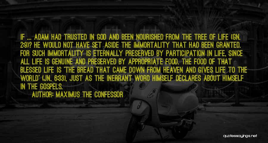 Maximus The Confessor Quotes: If ... Adam Had Trusted In God And Been Nourished From The Tree Of Life (gn. 2:9)? He Would Not