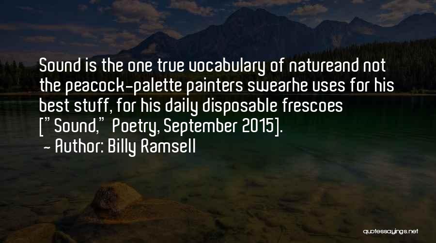 Billy Ramsell Quotes: Sound Is The One True Vocabulary Of Natureand Not The Peacock-palette Painters Swearhe Uses For His Best Stuff, For His