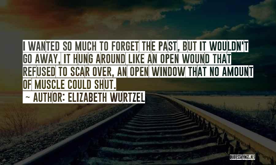 Elizabeth Wurtzel Quotes: I Wanted So Much To Forget The Past, But It Wouldn't Go Away, It Hung Around Like An Open Wound