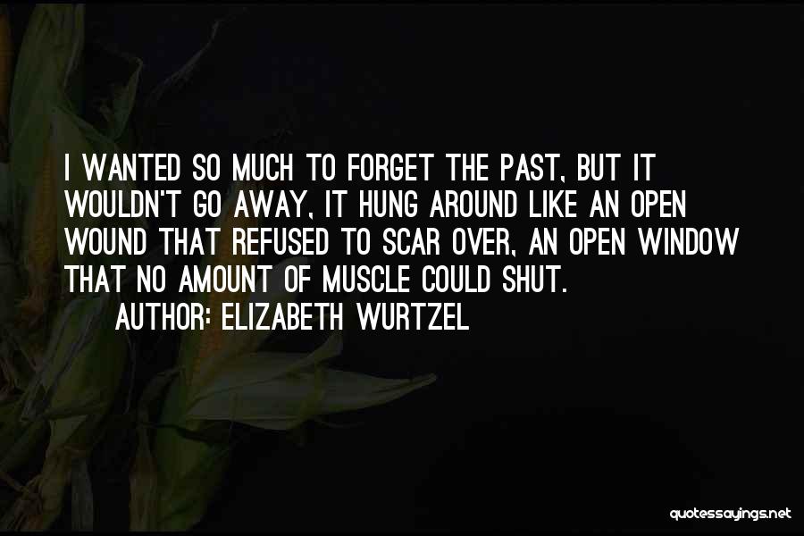 Elizabeth Wurtzel Quotes: I Wanted So Much To Forget The Past, But It Wouldn't Go Away, It Hung Around Like An Open Wound