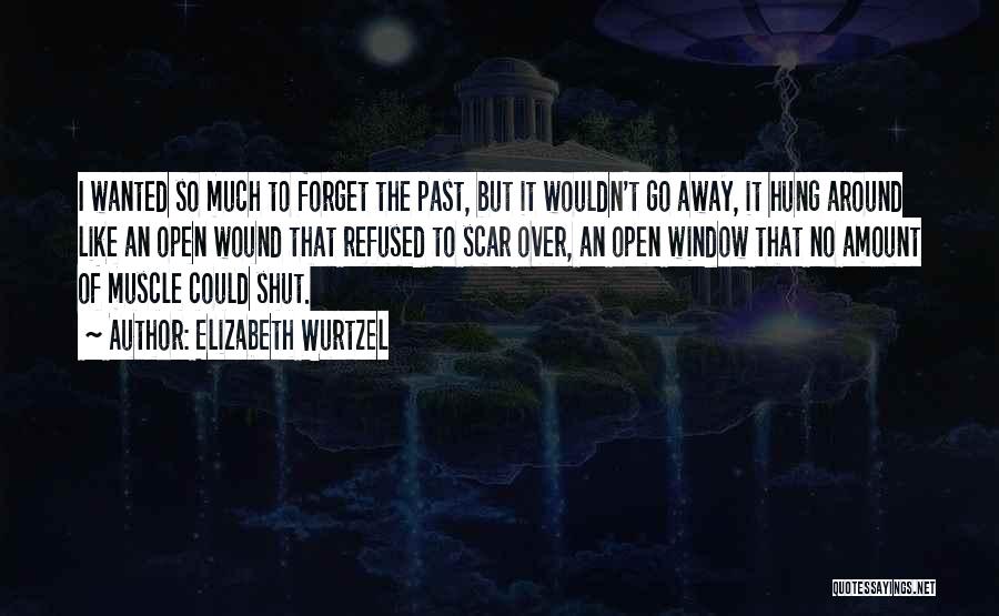 Elizabeth Wurtzel Quotes: I Wanted So Much To Forget The Past, But It Wouldn't Go Away, It Hung Around Like An Open Wound