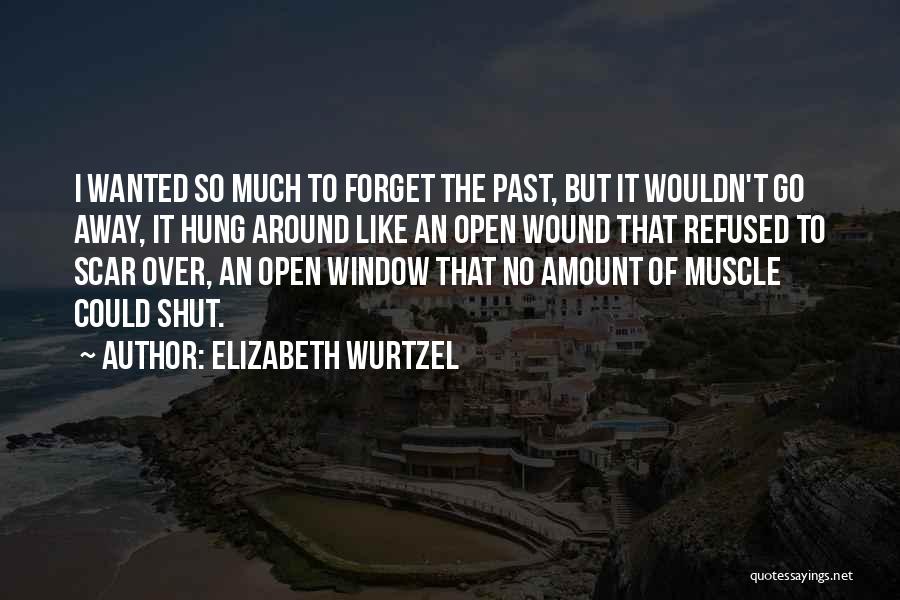 Elizabeth Wurtzel Quotes: I Wanted So Much To Forget The Past, But It Wouldn't Go Away, It Hung Around Like An Open Wound