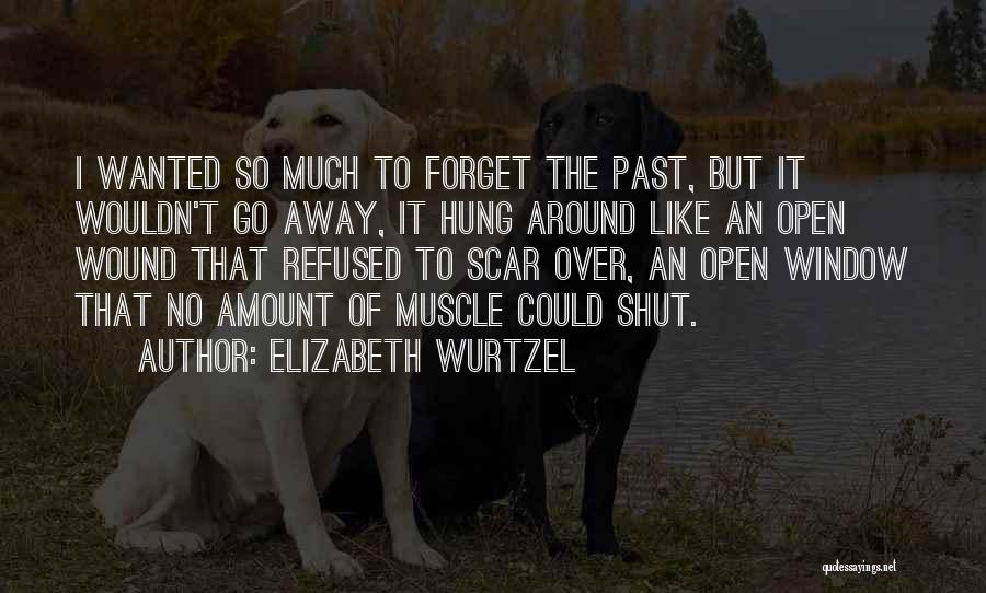 Elizabeth Wurtzel Quotes: I Wanted So Much To Forget The Past, But It Wouldn't Go Away, It Hung Around Like An Open Wound