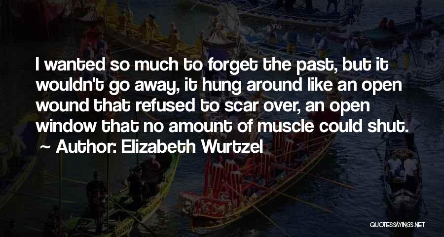 Elizabeth Wurtzel Quotes: I Wanted So Much To Forget The Past, But It Wouldn't Go Away, It Hung Around Like An Open Wound