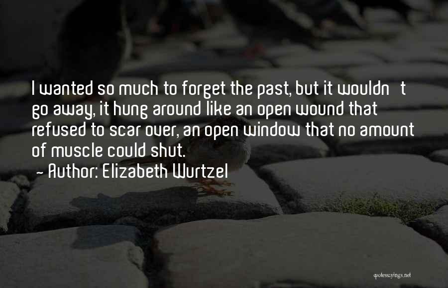 Elizabeth Wurtzel Quotes: I Wanted So Much To Forget The Past, But It Wouldn't Go Away, It Hung Around Like An Open Wound