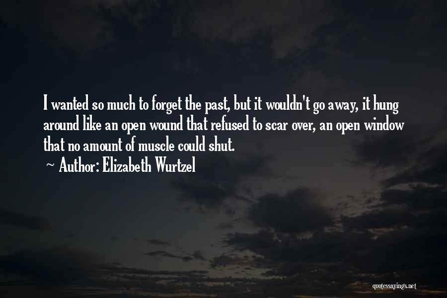 Elizabeth Wurtzel Quotes: I Wanted So Much To Forget The Past, But It Wouldn't Go Away, It Hung Around Like An Open Wound