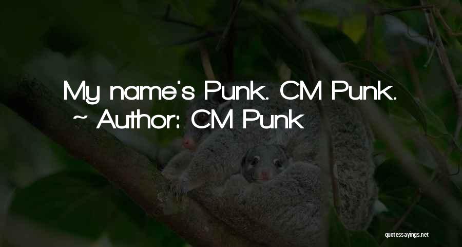 CM Punk Quotes: My Name's Punk. Cm Punk.