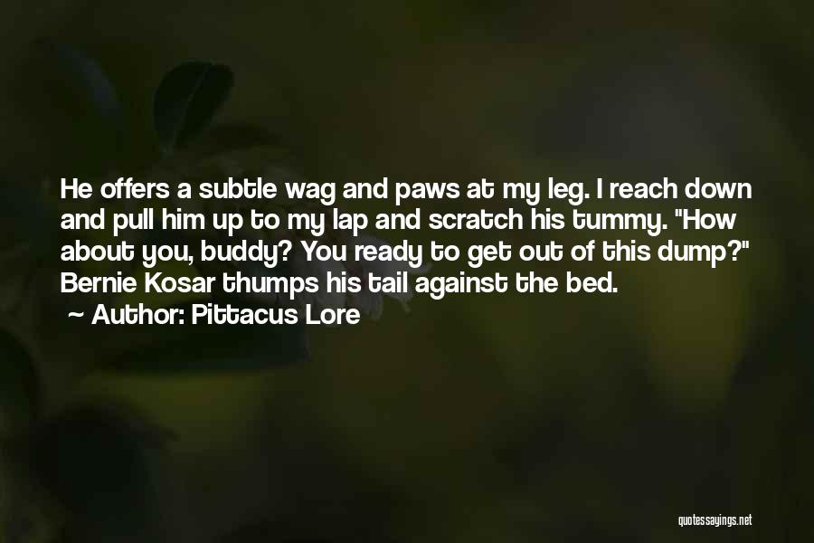 Pittacus Lore Quotes: He Offers A Subtle Wag And Paws At My Leg. I Reach Down And Pull Him Up To My Lap