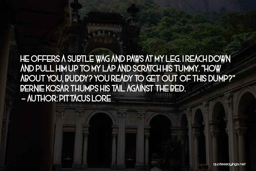 Pittacus Lore Quotes: He Offers A Subtle Wag And Paws At My Leg. I Reach Down And Pull Him Up To My Lap