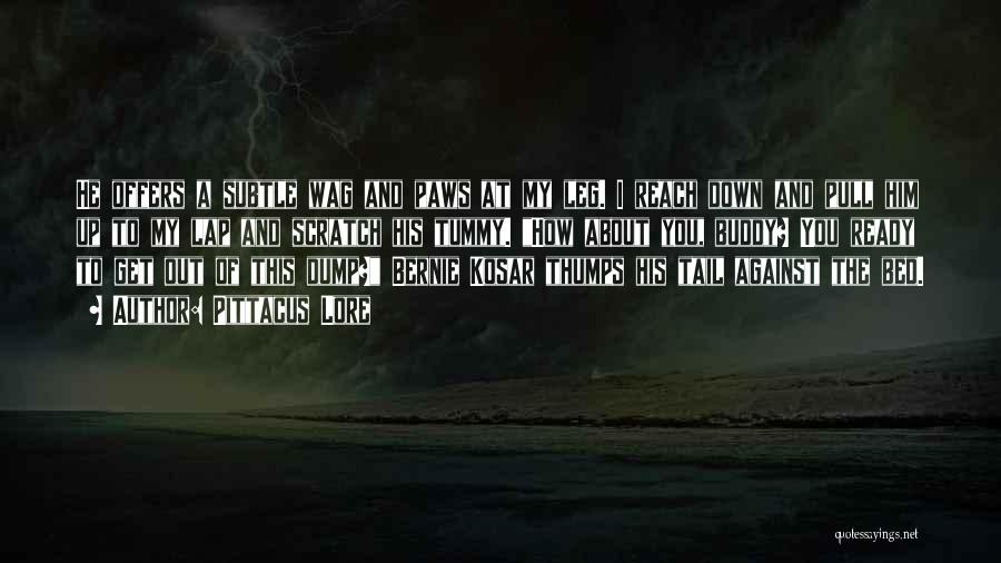 Pittacus Lore Quotes: He Offers A Subtle Wag And Paws At My Leg. I Reach Down And Pull Him Up To My Lap